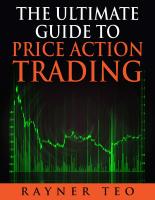 Rayner price action @tradingpdfgratis.pdf